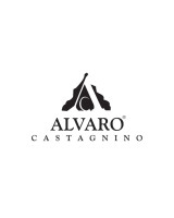 Alvaro Castagnino