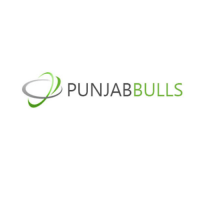 Punjabbulls Technology Pvt. Ltd