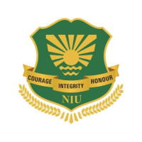 Noida International University