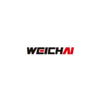 WEICHAI INDIA