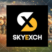 SkyExchange – Where Sports Meets Seamless Digital Experience