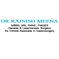 Dr Rajnish Meena