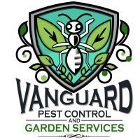 Comprehensive Commercial Pest Control Melbourne by Vanguard Eco Solutions