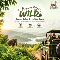 Where Every Journey Becomes a Story | Pawsitiv Adventures