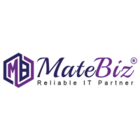 Matebiz – Professional SEO Agency in Delhi