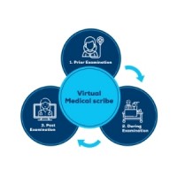 Virtual Medical Scribes