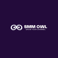 Why SMM Owl Is the Best Platform to Buy Instagram Followers