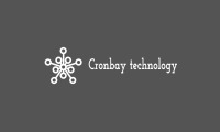 SEO Company in Bangalore | Cronbay Technologies