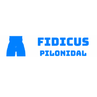 Fidicus Pilonidal