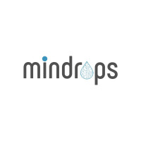 Responsive Web Designing & Development Service In NSP