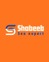 Shabeeb SEO Expert
