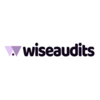 Wise Audits