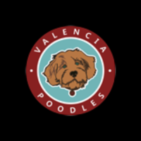 Valencia Poodles