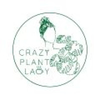 Best Cafe in Ahmedabad | Gluten-Free & Co-Working Friendly – Crazy Plant Lady Cafe
