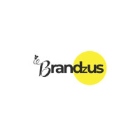 Cost-Effective Social Media Advertising results by Brandzus