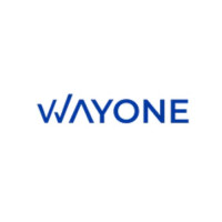 WayOne IT Solutions