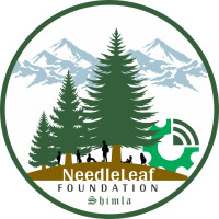AI for Safer Communities & Forest Protection – Needleleaf Foundation