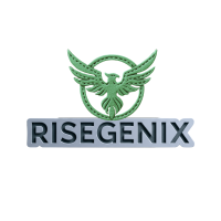 Top Digital Marketing Company in India | Risegenix