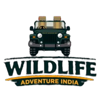 Kanha Booking | Wildlife Adventure India