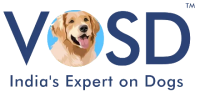 VOSD Dog's Sanctuary & Hospital in India