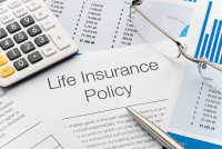 Viva Insurance Agency LLC - Indian River County