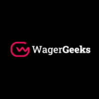 WagerGeeks develops scalable and captivating iGaming solutions that set new standards.