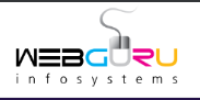 Webguru Infosystems | Web Design & Digital Marketing India