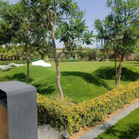Aashvi Nursery & Gardening