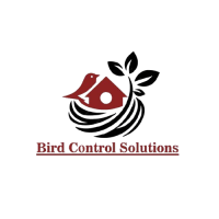 Bird Netting Services in Delhi & Bird Control Solutions