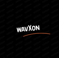 Fintech API Provider & IT Solutions Expert-WAVXON