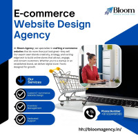 e-commerce website development