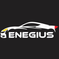 Enegius Car Decor