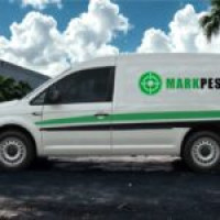 Mark Pest Bed Bugs Specialists