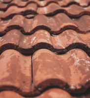 How Regular Roof Cleaning Prevents Long-Term Damage