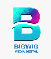 bigwigmediadigital Boost Brand Awareness Through Influencer Marketing