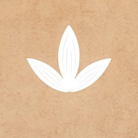 Tvani Chamomile Tea Supplier