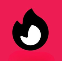 Vibuddy Network