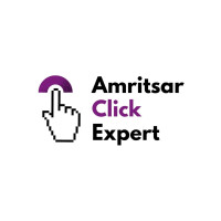 Best Digital Marketing Agency in Amritsar