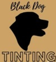 Black Dog Tinting
