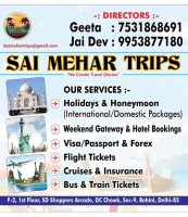 TRAVEL AGENT