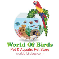 World of Birds