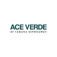 Ace Verde