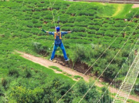 Best Ooty cabs for sightseeing | Ooty Cab Services - OotyCabs