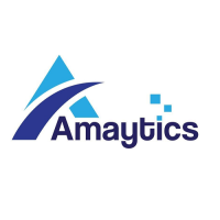 Amaytics - Digital Marketing Agency in Gurgaon
