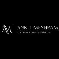 Dr. Ankit Vilas Meshram