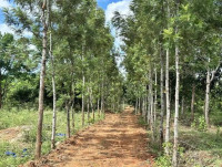 Accessible agriculture land near bangalore along south transit corridors