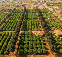 Invest In The Cheapest Agricultural Land In Tamil Nadu For Stability At Anugraha Farms
