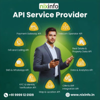 API Service Provider