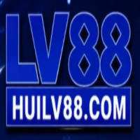huilv88com
