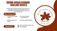 Brown Chinar Kashmir Tour & Travels